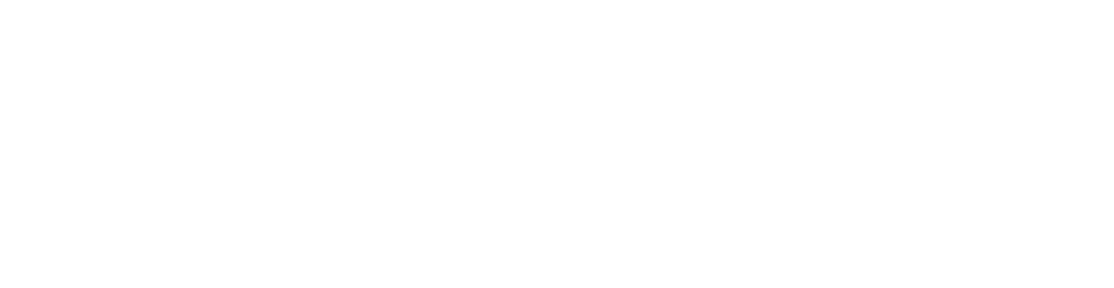 Nadora Healthcare - White Logo