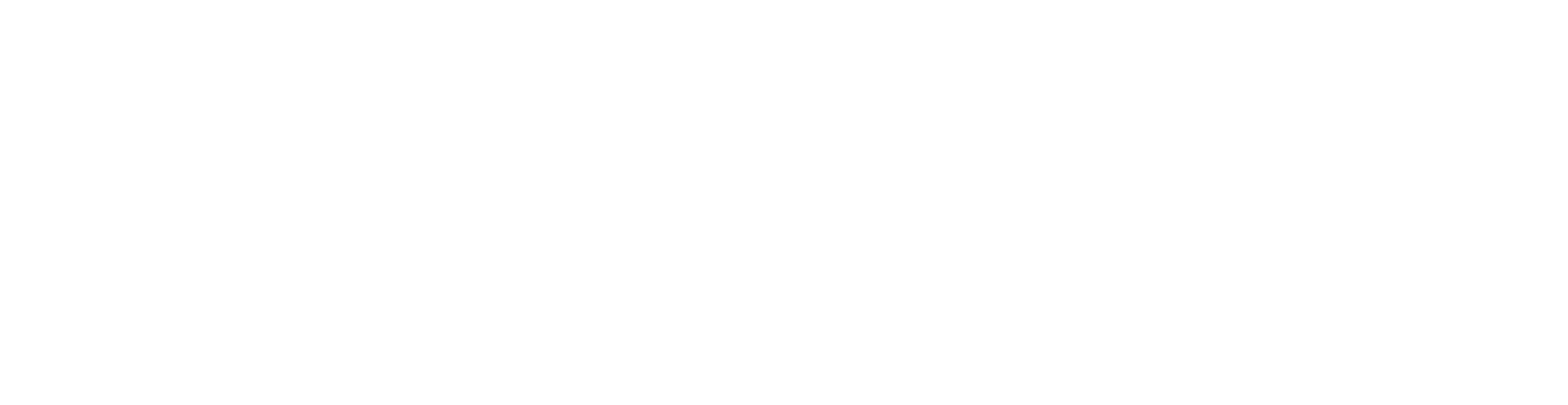 Nadora Healthcare - White Logo