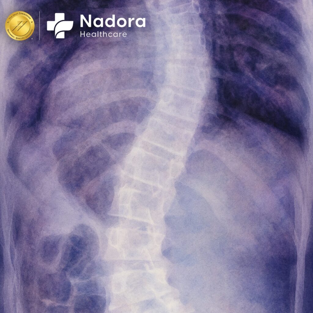 Spine Specialist